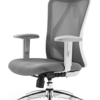 Ergonomic Office Chair, Computer Desk Chair with Adjustable Headrest and Lumbar Support, High Back Executive Swivel Chair for Home Office (Dark Gray)