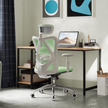Ergonomic Office Chair, Computer Desk Chair with Adjustable Headrest and Lumbar Support, High Back Executive Swivel Chair for Home Office (Light Green)