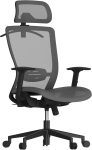 Ergonomic Office Chair, High Back Mesh Swivel Computer Chair, Executive Office Desk Chairs, with Adjustable Lumbar Support/2D Headrest/Lockable Backrest,  Mesh Seat, Gray