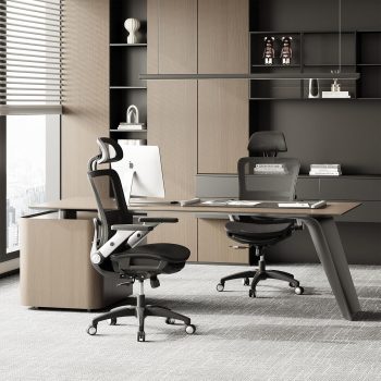 Ergonomic Office Chair with Footrest, High Back Mesh Desk Chair with Adjustable Lumbar Support, 3D Armrests, Headrest, Recline Function, Rolling Swivel Task Chair for Home Office (Graphite)