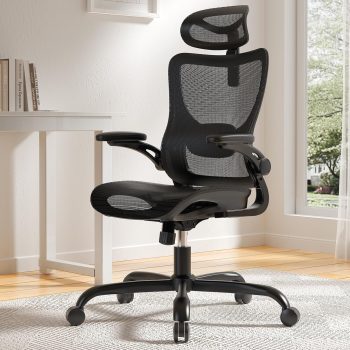 Ergonomic Mesh Office Chair High Back Home Office Desk Chair with Adaptive Lumbar Support, 2D Headrest, 3D Flip-Up Armrests, Height Adjustable and Rocking Tilt for Home Office and Gaming